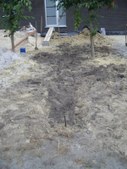 Enlarge photo 13