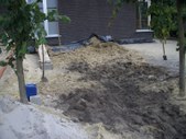 Enlarge photo 14