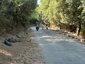 Enlarge photo 9