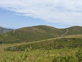 Enlarge photo 17