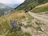 Enlarge photo 19