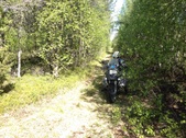Enlarge photo 17