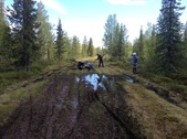 Enlarge photo 21