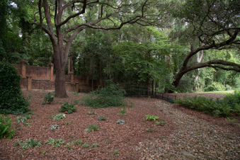 Backyard Garden-Clark Home