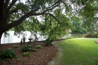 Enlarge photo 3