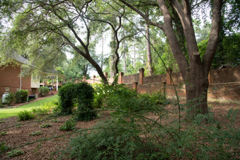 Enlarge photo 11