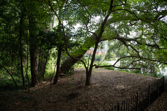 Enlarge photo 13