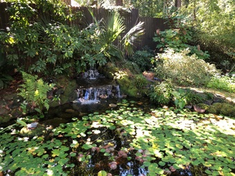 Enlarge photo 6