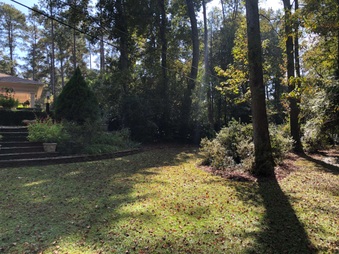 Enlarge photo 14