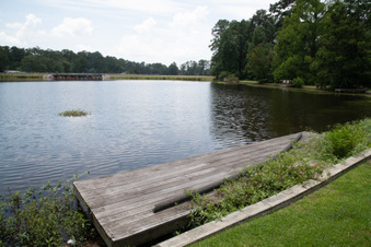 Enlarge photo 14