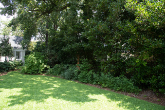 Enlarge photo 3