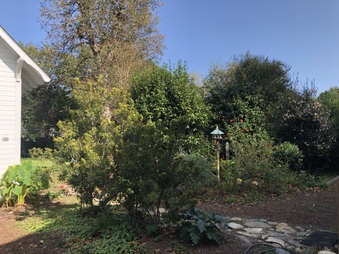Enlarge photo 4