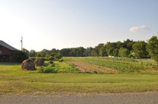 Enlarge photo 12