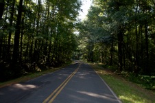 Enlarge photo 16