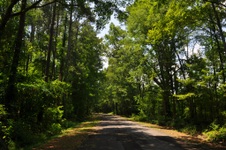 Corley rd.