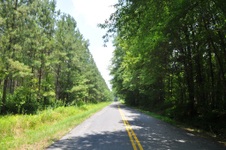 Longtown rd.