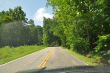 BMW Tree lined roads - Columbia area