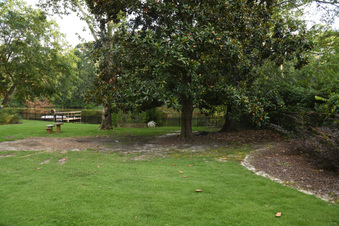 Enlarge photo 12