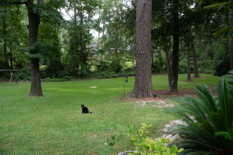 Enlarge photo 11