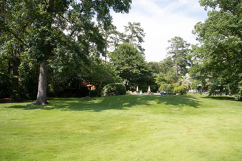 Enlarge photo 6