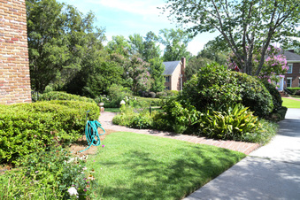 Enlarge photo 13