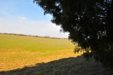 Gray Farm - Honea Path