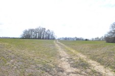 Paige rd. Field