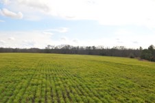 Sauer Farm field 1