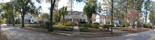 Abelia -West home