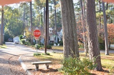 Enlarge photo 16