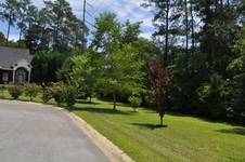 Enlarge photo 4