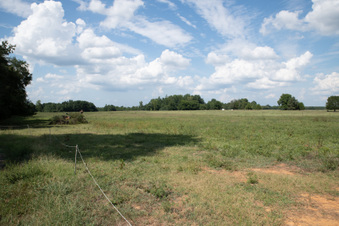 Watson Farm- Chester