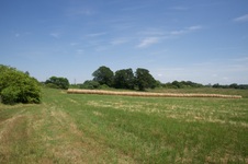 Field vista- Mud Creek rd