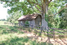 Enlarge photo 8