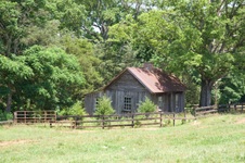 Enlarge photo 12