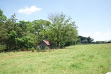 Enlarge photo 11