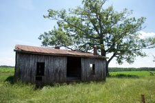 Enlarge photo 12