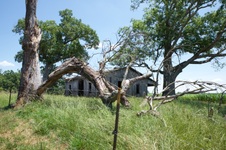 Enlarge photo 14