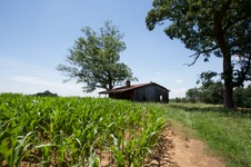 Enlarge photo 16