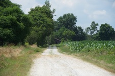 Roads- Grant Farm rd. 