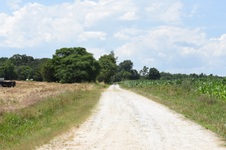Enlarge photo 2