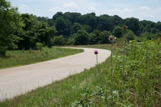 Enlarge photo 6