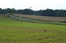 Enlarge photo 15