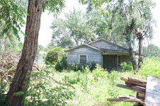 Enlarge photo 6