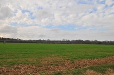 Beckham Swamp road