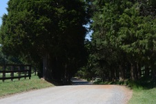 Enlarge photo 13
