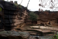 Riverbanks Zoo