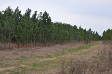 Beech Island Agricultural Society, Beech