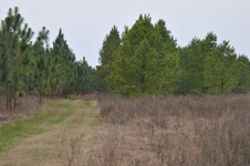 Enlarge photo 4