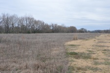 Jack Mason Farm, Beech Island